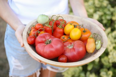 Woman holding bowl of different fresh tomatoes outdoors, closeup