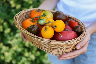 Photo of Woman holding wicker basket of different fresh tomatoes outdoors, closeup