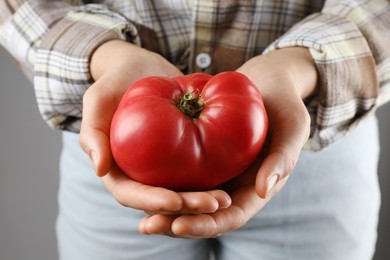 Photo of Woman holding ripe tomato on grey background, closeup