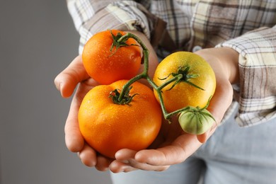 Photo of Woman holding fresh wet tomatoes on grey background, closeup