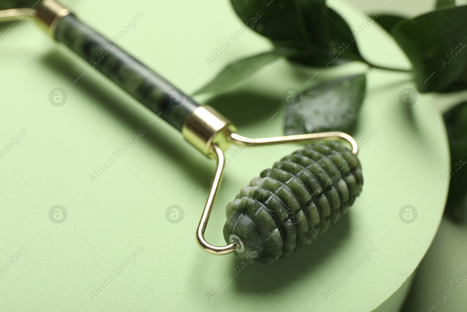 Photo of Face roller and ruscus branch on green background, closeup