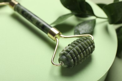 Photo of Face roller and ruscus branch on green background, closeup