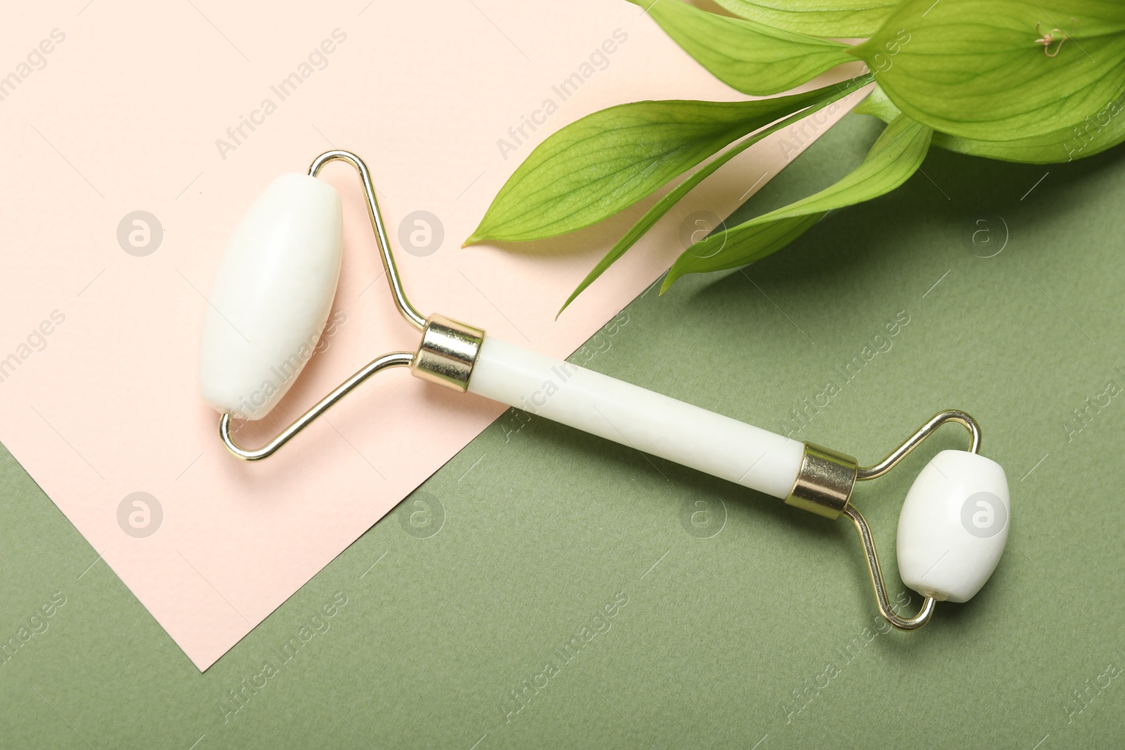 Photo of Face roller and green leaves on color background, flat lay