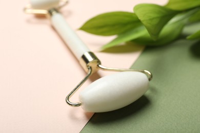 Photo of Face roller and green leaves on color background, closeup