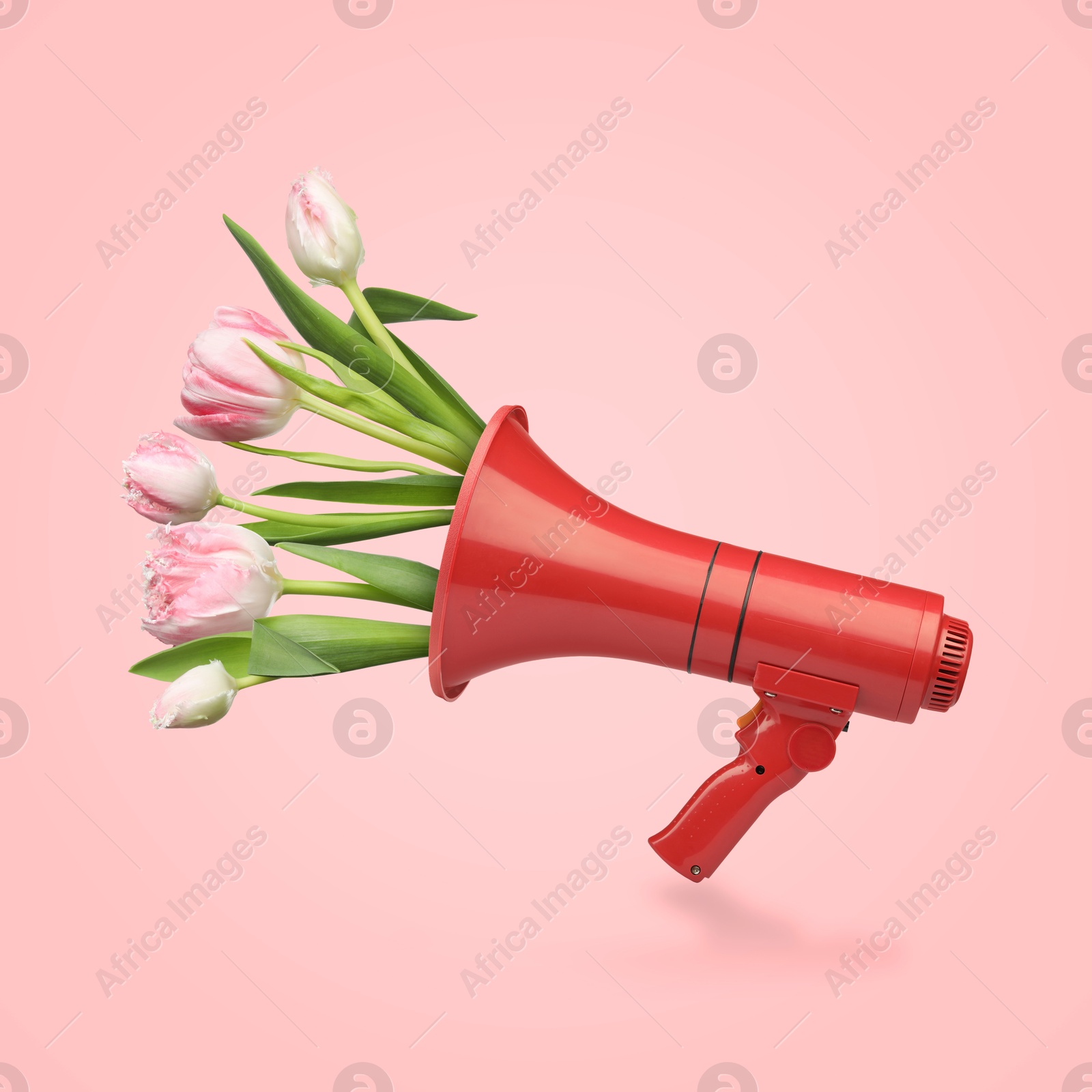 Image of Tulip flowers sticking out of red loudspeaker on pink background