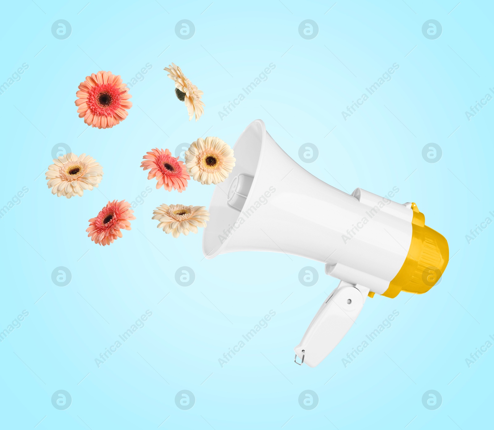 Image of Gerbera flowers flying out of loudspeaker on light blue background