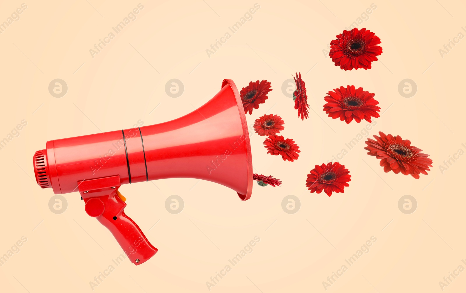 Image of Gerbera flowers flying out of red loudspeaker on beige background