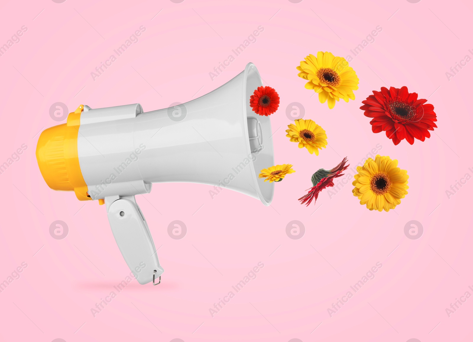 Image of Gerbera flowers flying out of loudspeaker on pink background