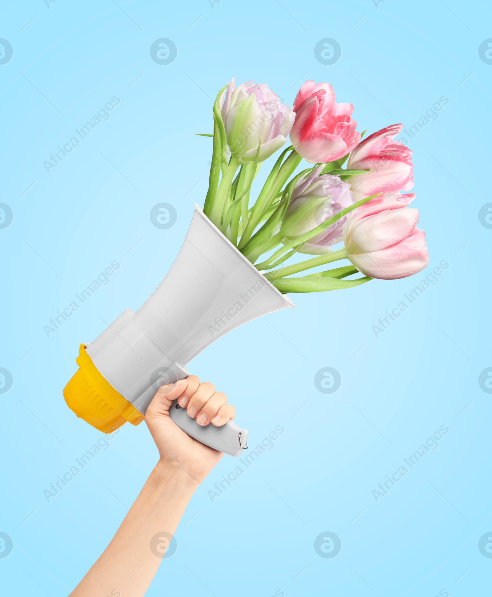 Image of Woman holding loudspeaker with sticking out of it tulip flowers on light blue background, closeup