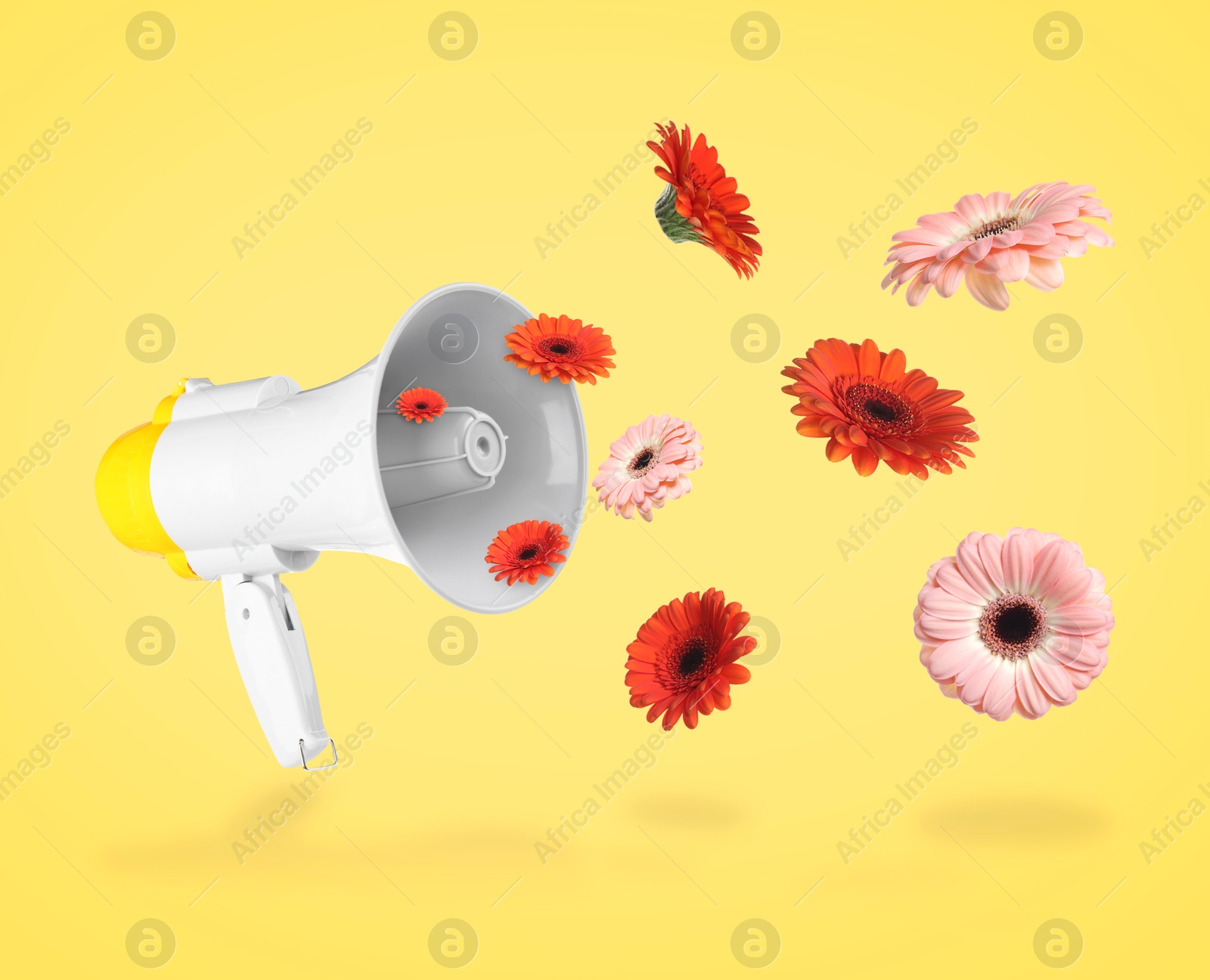 Image of Gerbera flowers flying out of loudspeaker on yellow background