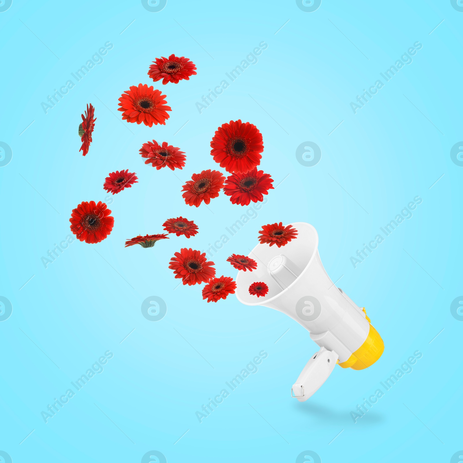 Image of Red gerbera flowers flying out of loudspeaker on light blue background