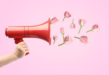 Image of Tulip flowers flying out of red loudspeaker in woman's hand on pink background, closeup