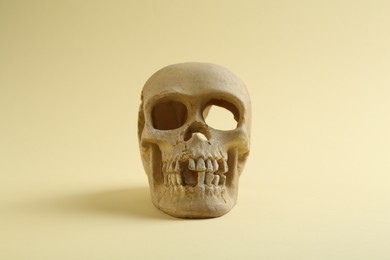 Photo of One old human skull on beige background