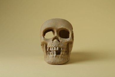 Photo of One old human skull on beige background