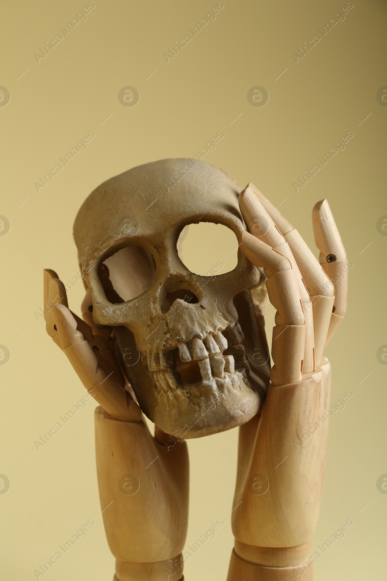 Photo of Wooden mannequin hands holding human skull on beige background