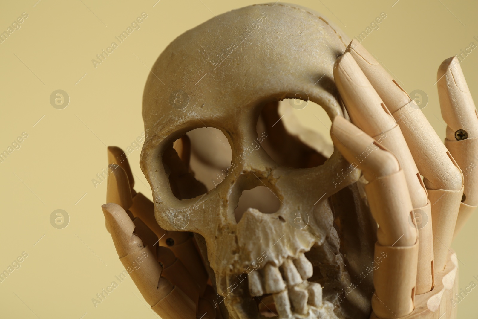 Photo of Wooden mannequin hands holding human skull on beige background, closeup