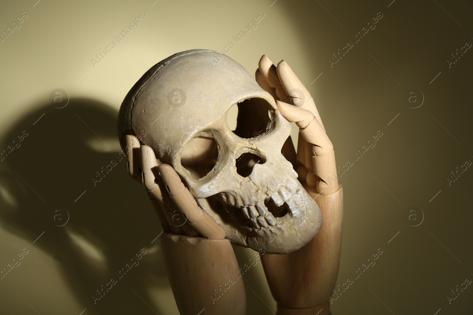 Photo of Wooden mannequin hands holding human skull on beige background