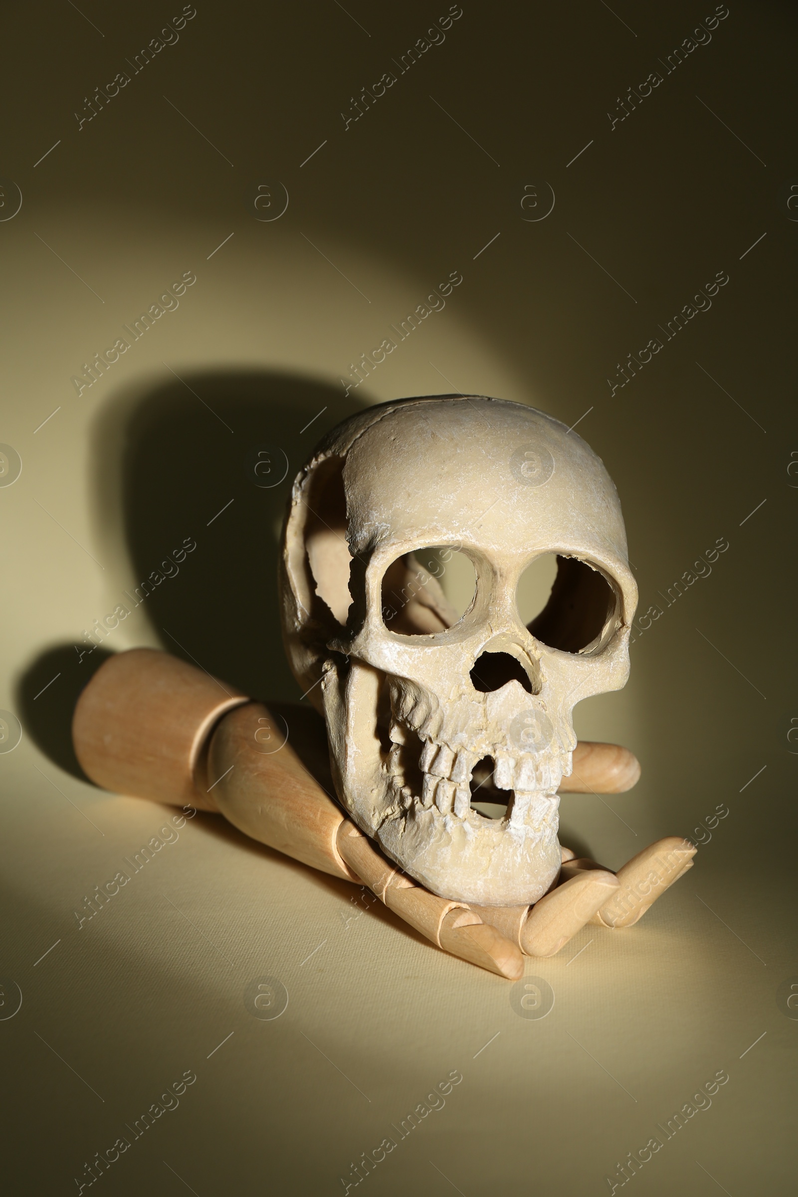 Photo of Wooden mannequin hand holding human skull on beige background