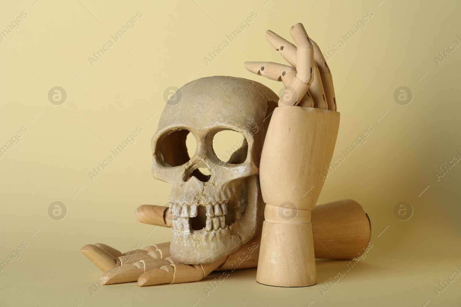 Photo of Wooden mannequin hands holding human skull on beige background