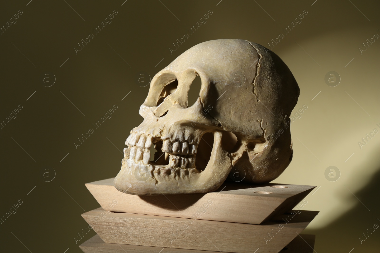 Photo of Human skull and wooden blocks on beige background