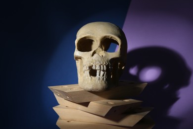 Photo of Human skull and wooden blocks on color background