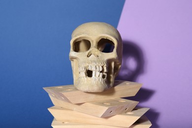 Photo of Human skull and wooden blocks on color background