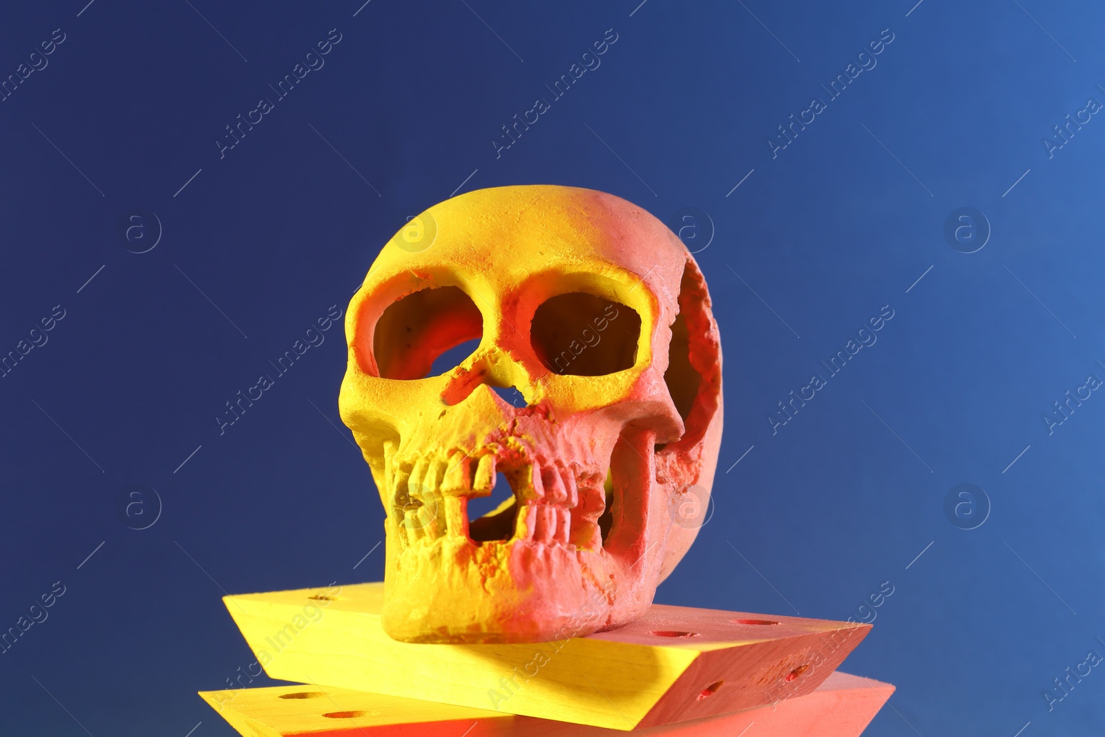 Photo of Human skull and wooden blocks on blue background