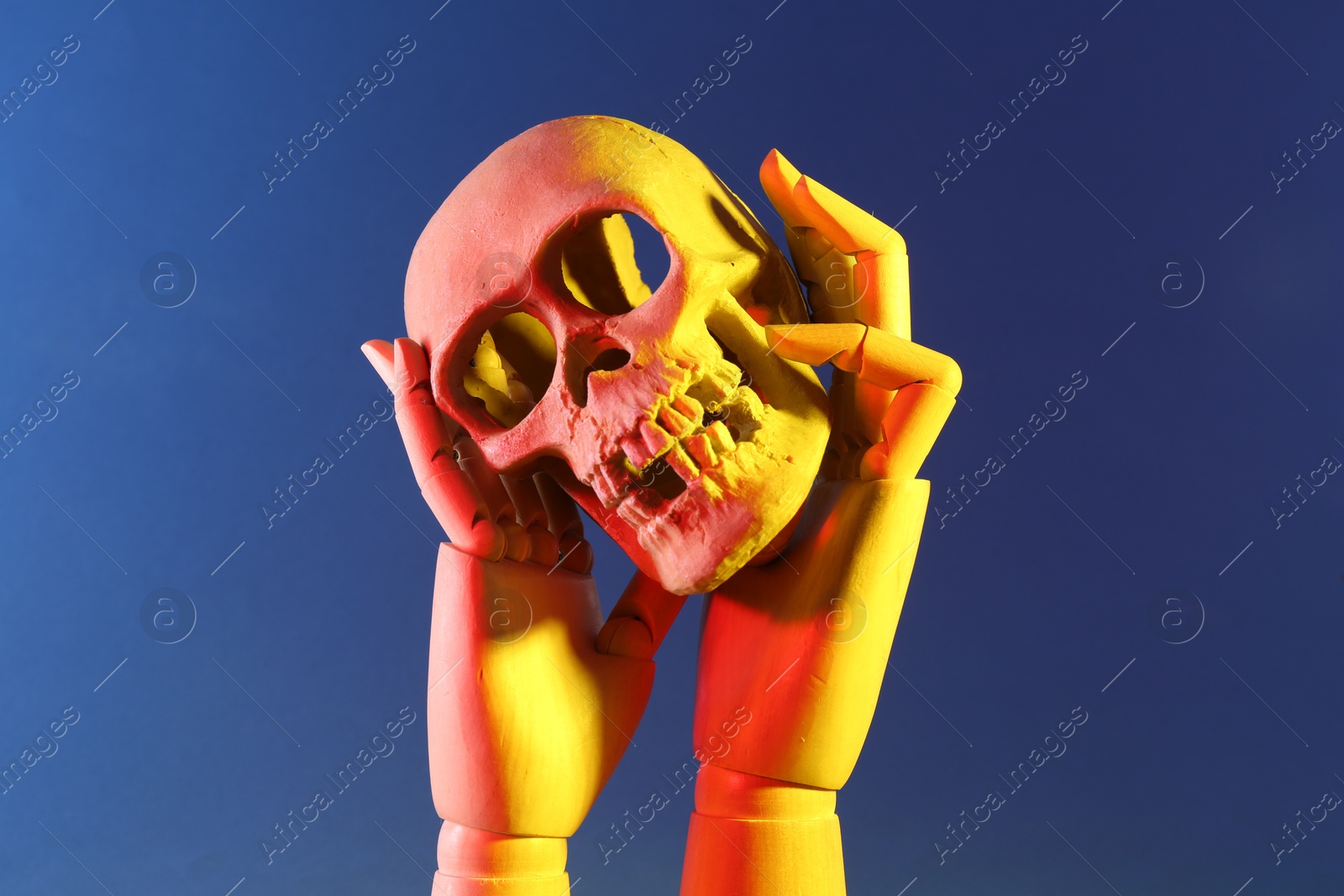 Photo of Wooden mannequin hands holding human skull on blue background