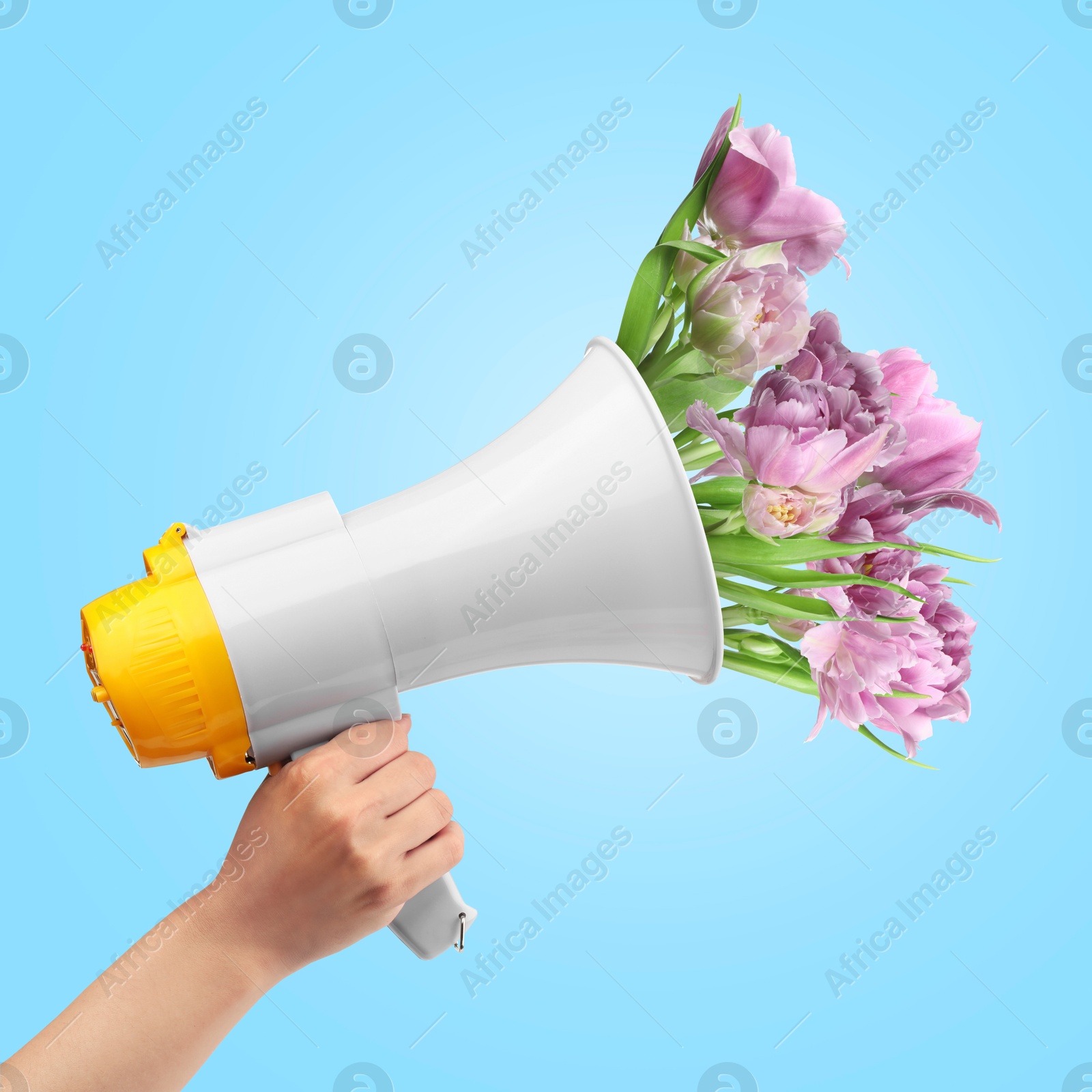 Image of Woman holding loudspeaker with sticking out of it peony flowers on light blue background, closeup