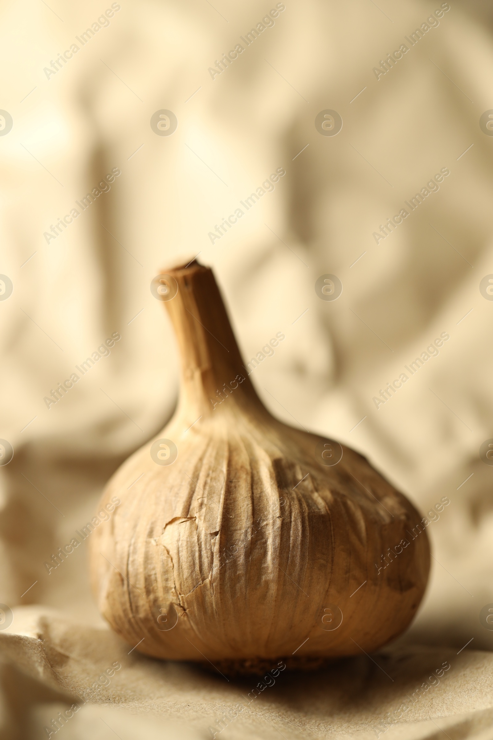 Photo of Bulb of raw garlic on crumpled beige paper, closeup