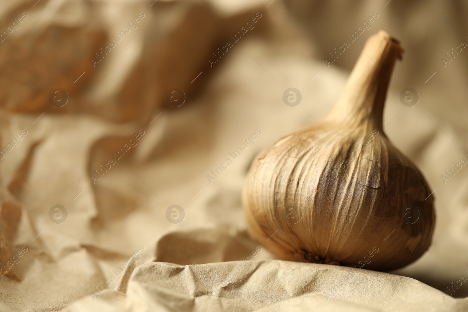 Photo of Bulb of raw garlic on crumpled beige paper, closeup. Space for text