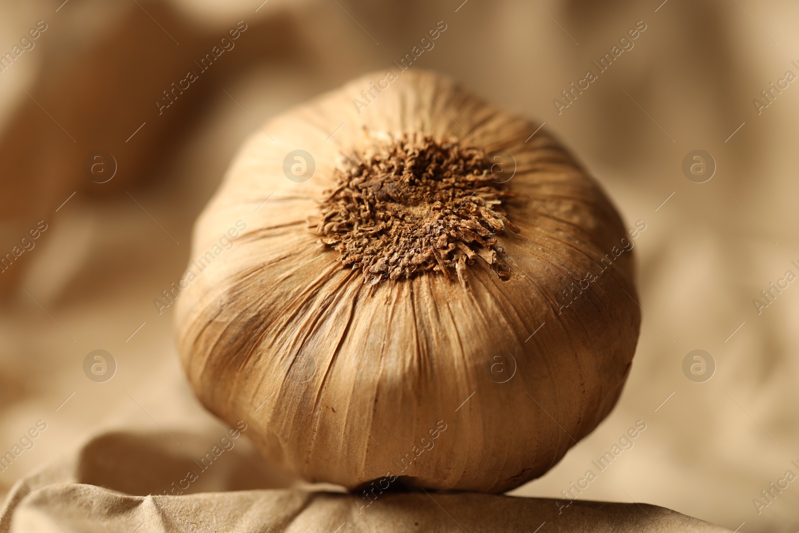 Photo of Bulb of raw garlic on crumpled beige paper, closeup