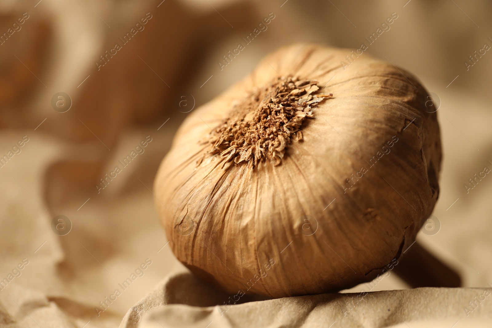 Photo of Bulb of raw garlic on crumpled beige paper, closeup