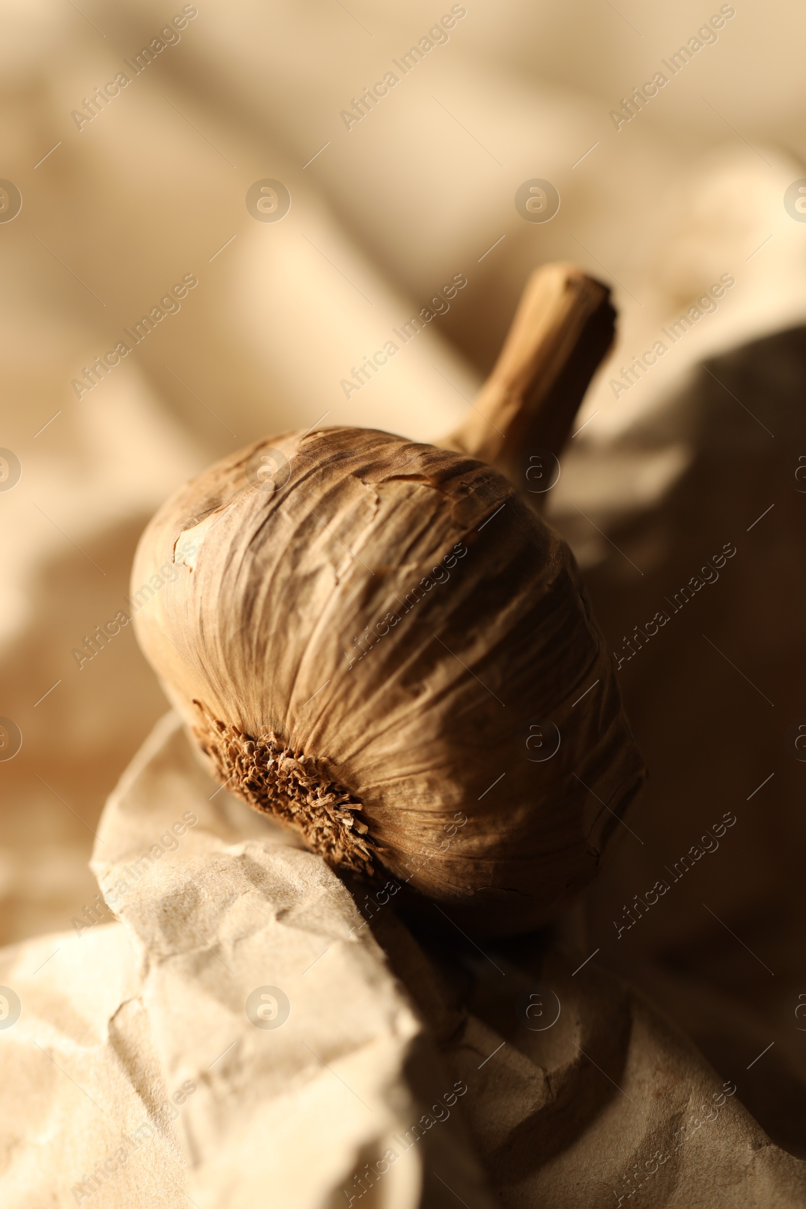 Photo of Bulb of raw garlic on crumpled beige paper, closeup