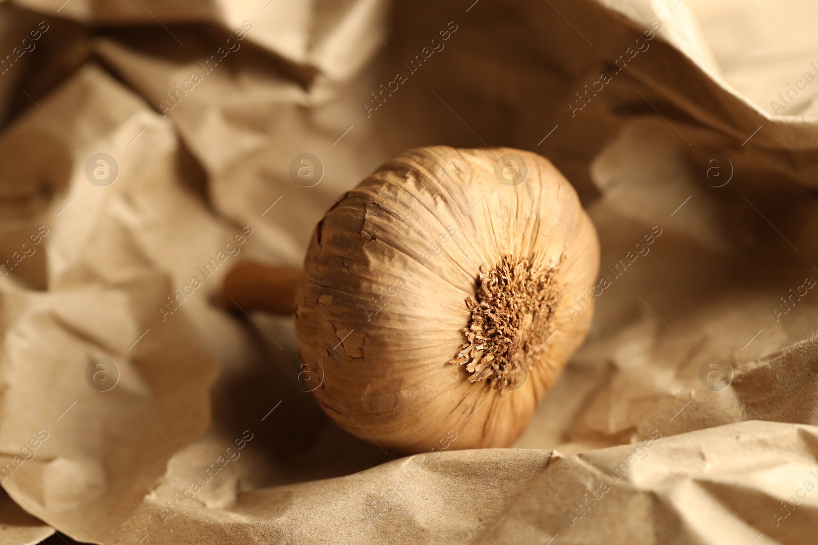 Photo of Bulb of raw garlic on crumpled beige paper, closeup