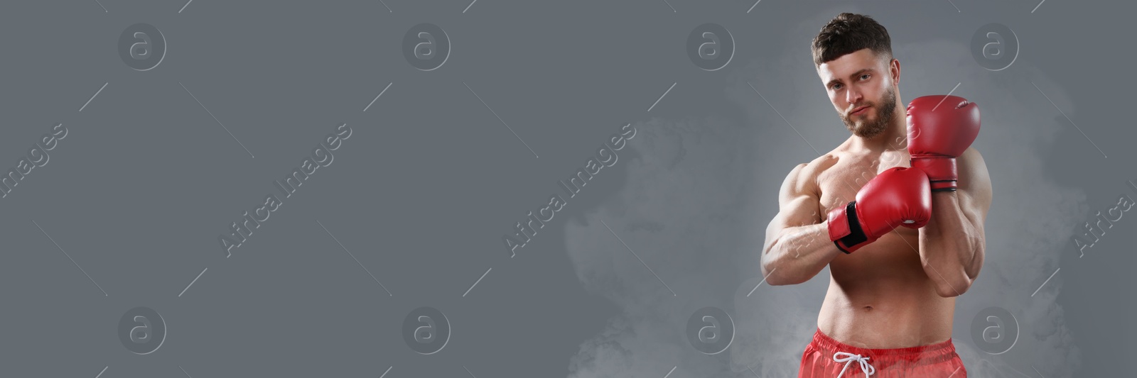 Image of Man in boxing gloves on grey background. Banner design with space for text