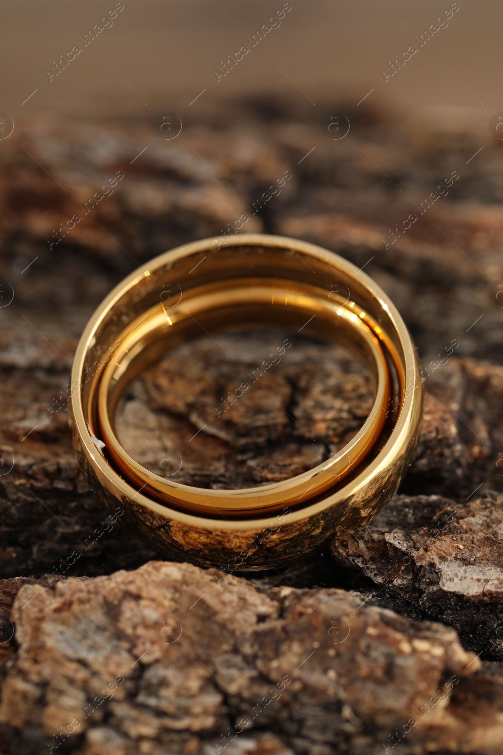 Photo of Beautiful golden wedding rings on tree bark, closeup