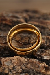 Beautiful golden wedding rings on tree bark, closeup