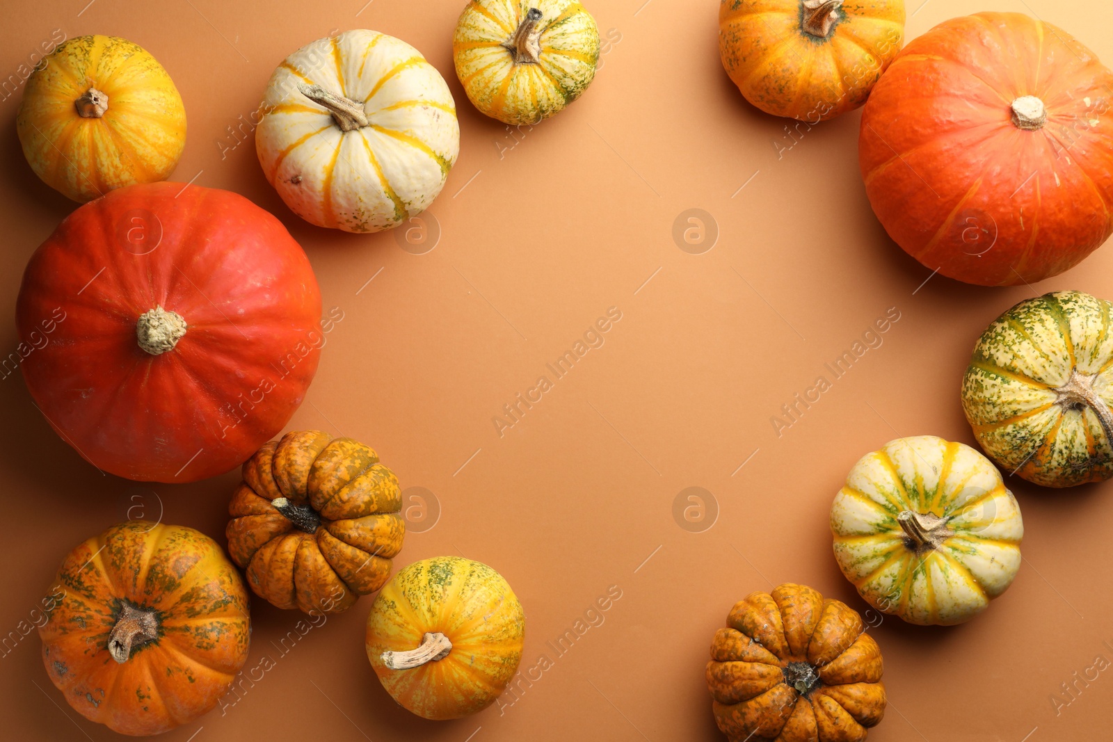 Photo of Frame made of different ripe pumpkins on orange background, flat lay. Space for text