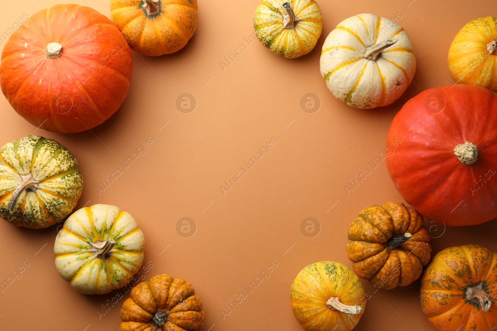 Photo of Frame made of different ripe pumpkins on orange background, flat lay. Space for text