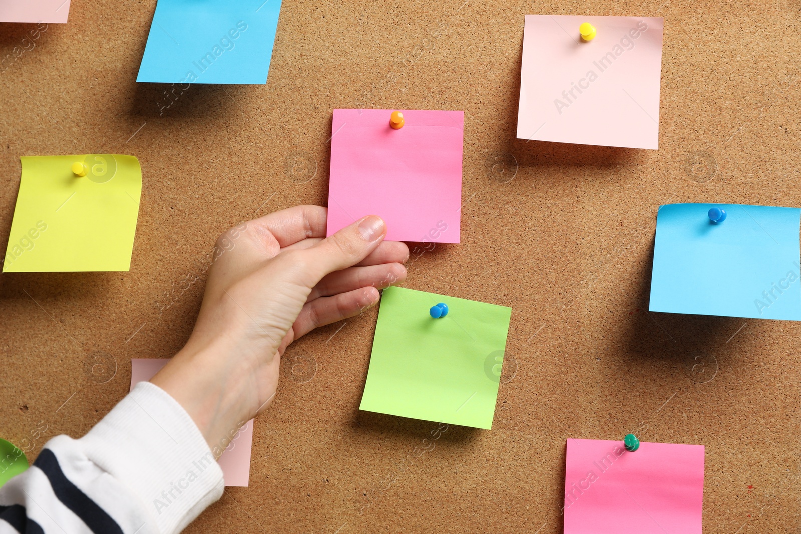 Photo of Woman holding paper note pinned to cork board, closeup