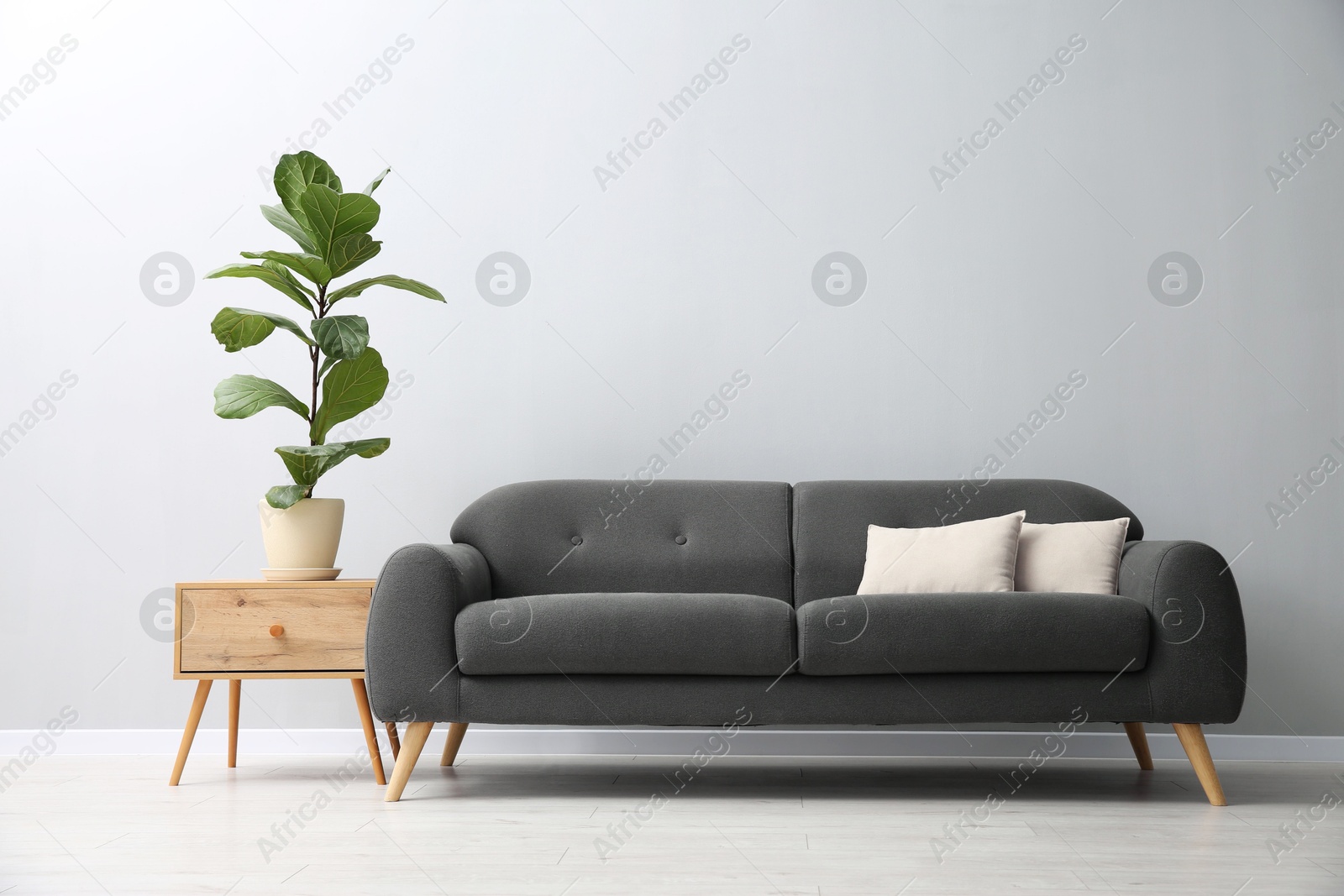 Photo of Comfortable sofa, houseplant and table near grey wall in room