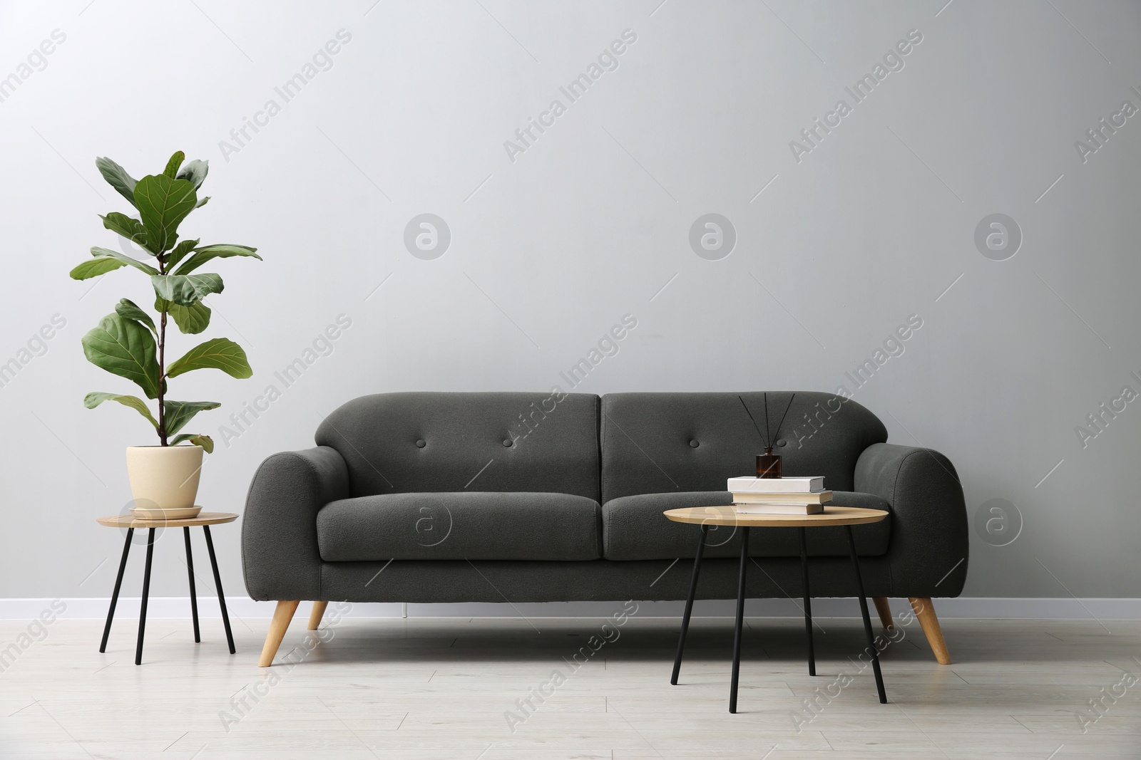 Photo of Comfortable sofa, tables and houseplant near grey wall in room