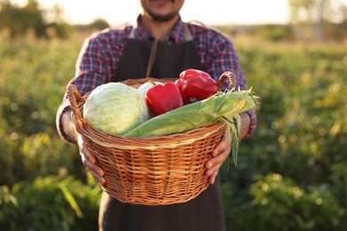 Harvesting season. Farmer with wicker basket of fresh vegetables in field on sunny day, closeup