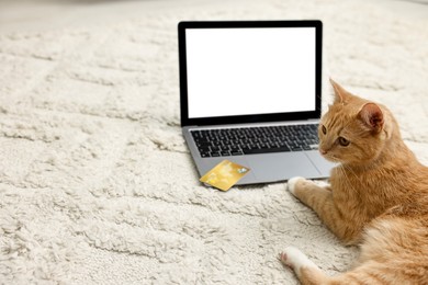 Photo of Online pet shop. Cute cat, laptop and credit card on rug indoors