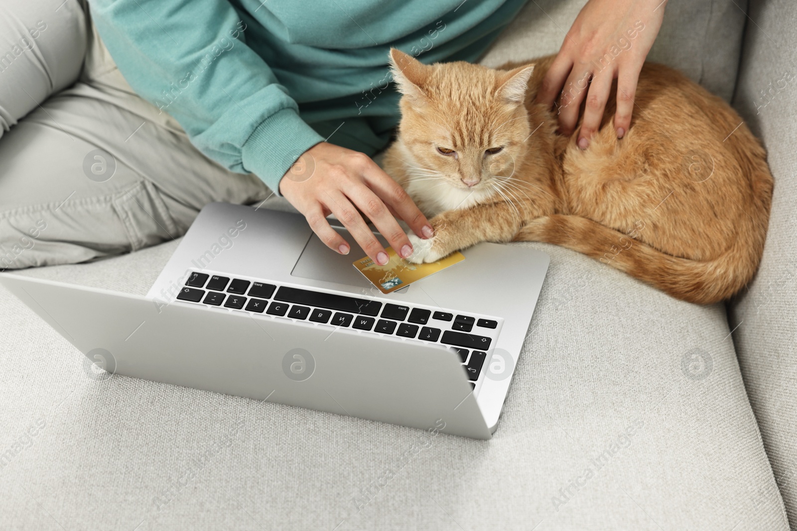 Photo of Online pet shop. Woman with laptop, credit card and cute cat making order on sofa at home, closeup