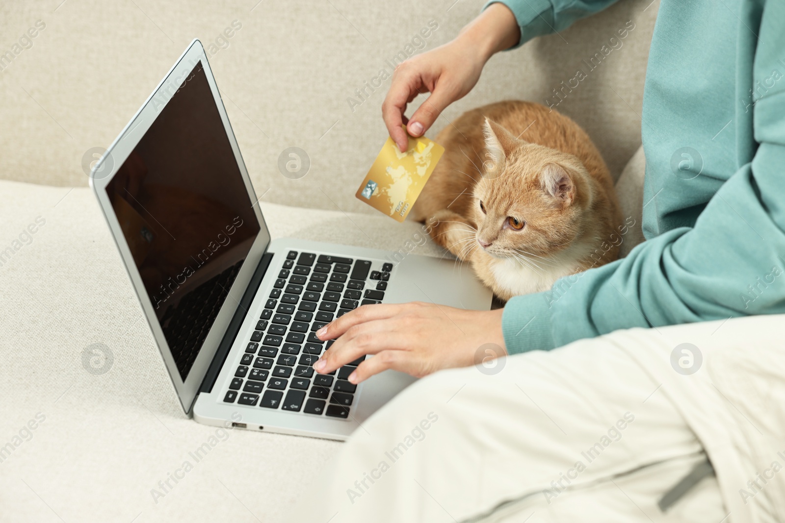 Photo of Online pet shop. Woman with laptop, credit card and cute cat making order on sofa at home, closeup