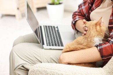 Photo of Online pet shop. Woman with laptop making order and cute cat at home, closeup