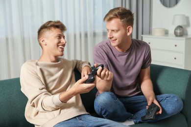 Happy brothers playing video game at home