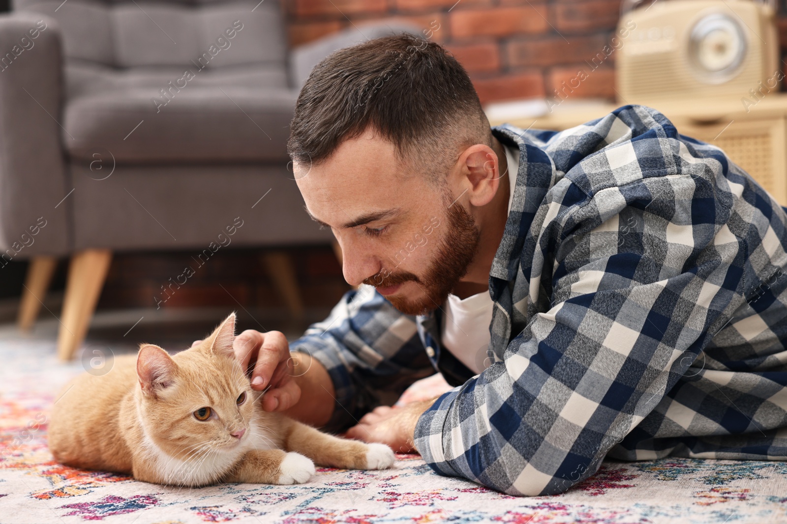 Photo of Man petting cute ginger cat on floor at home